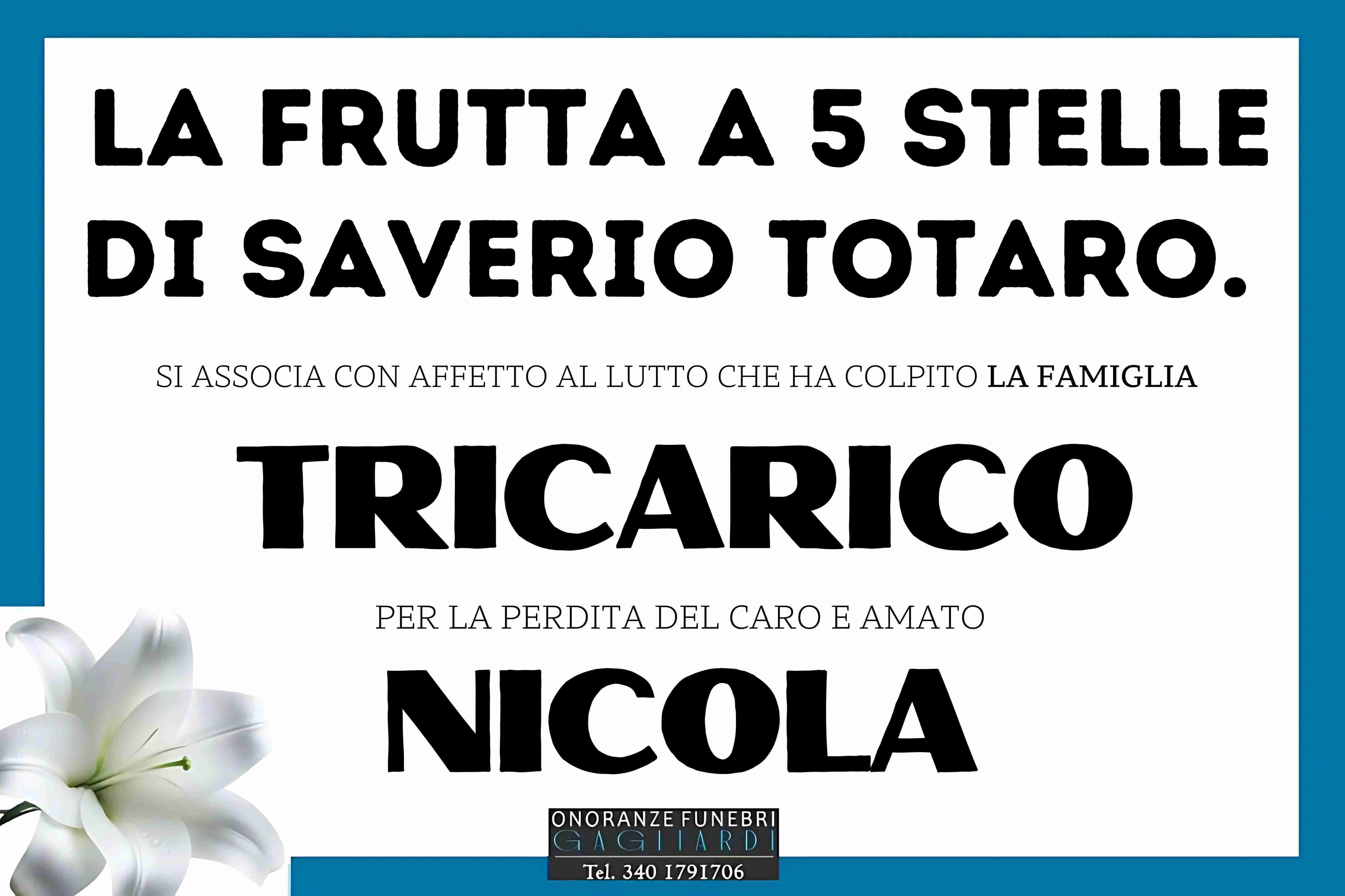 Funerali E Annunci Funebri A Nicola Tricarico Funer24 funerali-e-annunci-funebri-a-nicola-tricarico-funer24